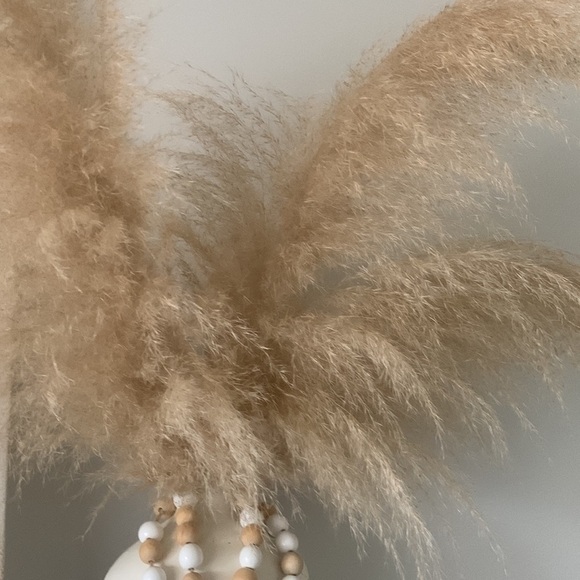 Dried pampas grass 3 pcs tall bohemian‎ fall festival home Decor natural - Picture 3 of 6